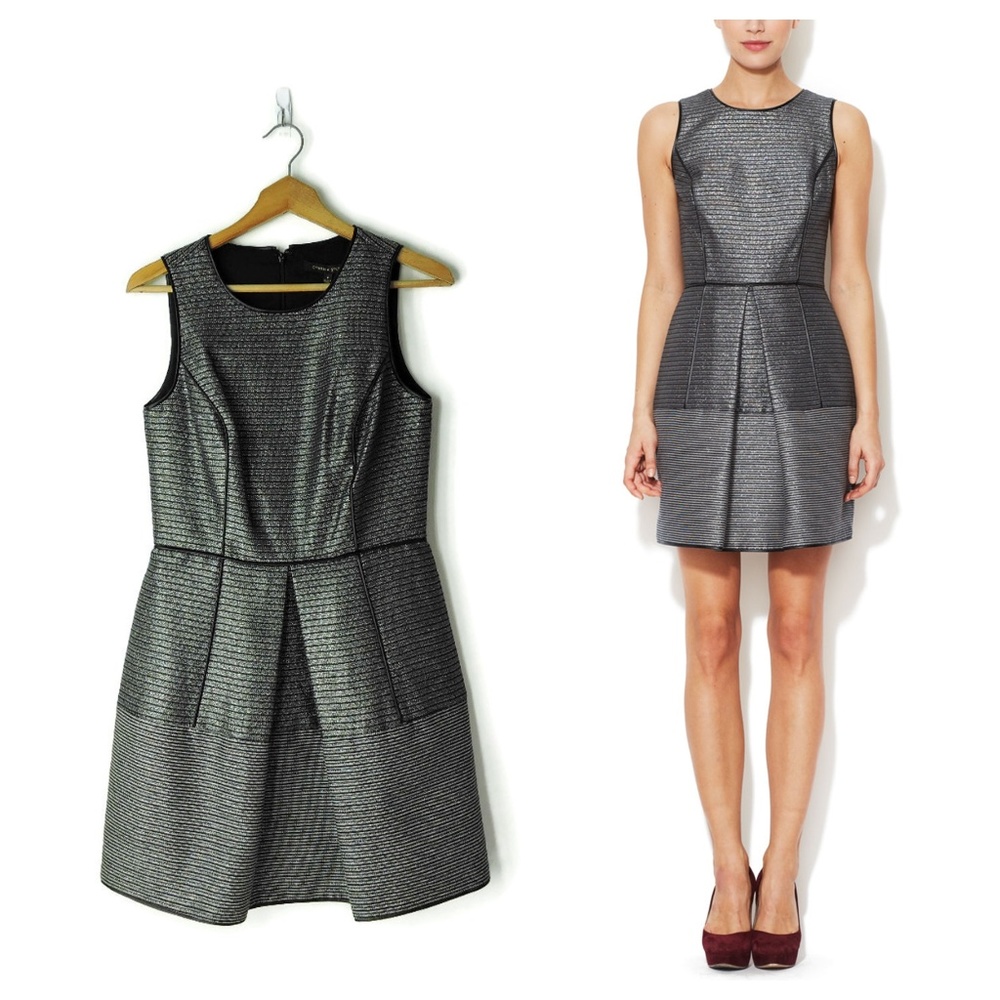 Cynthia Steffe Aniston Dress sz 6 S Fit Flare Black Silver Metallic New